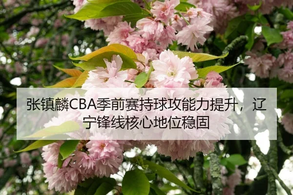 zhang-zhen-lin-ji-qian-sai-chi-qiu-gong-neng-li-ti-sheng-liao-ning-feng-xian-he-xin-di-wei-wen-gu-3-542.jpg