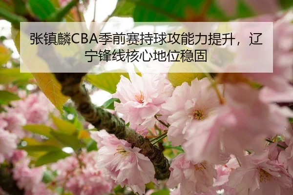 张镇麟CBA季前赛持球攻能力提升，辽宁锋线核心地位稳固