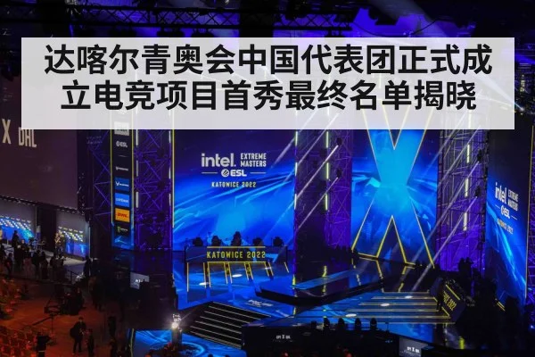 达喀尔青奥会中国代表团正式成立电竞项目首秀最终名单揭晓